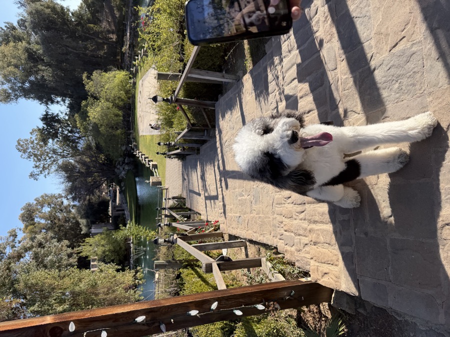 Patrick on bridge